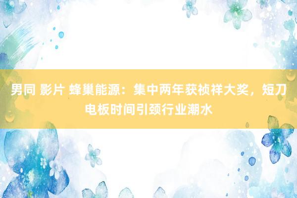 男同 影片 蜂巢能源：集中两年获祯祥大奖，短刀电板时间引颈行业潮水