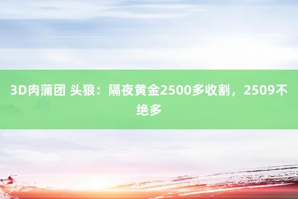 3D肉蒲团 头狼：隔夜黄金2500多收割，2509不绝多