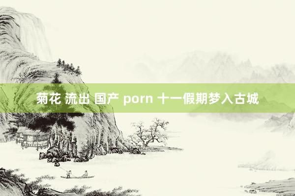 菊花 流出 国产 porn 十一假期梦入古城