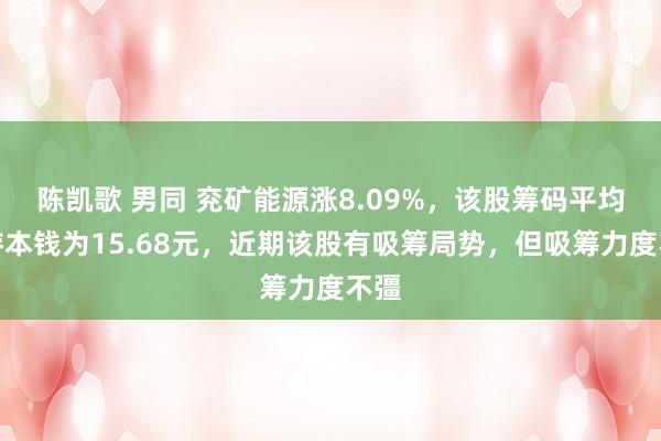 陈凯歌 男同 兖矿能源涨8.09%，该股筹码平均交游本钱为15.68元，近期该股有吸筹局势，但吸筹力度不彊