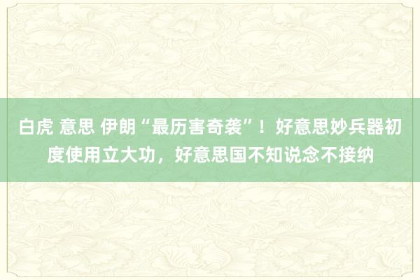 白虎 意思 伊朗“最历害奇袭”！好意思妙兵器初度使用立大功，好意思国不知说念不接纳