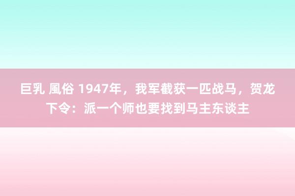 巨乳 風俗 1947年，我军截获一匹战马，贺龙下令：派一个师也要找到马主东谈主