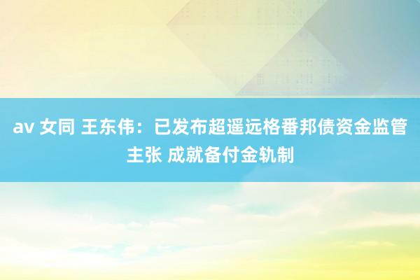 av 女同 王东伟：已发布超遥远格番邦债资金监管主张 成就备付金轨制