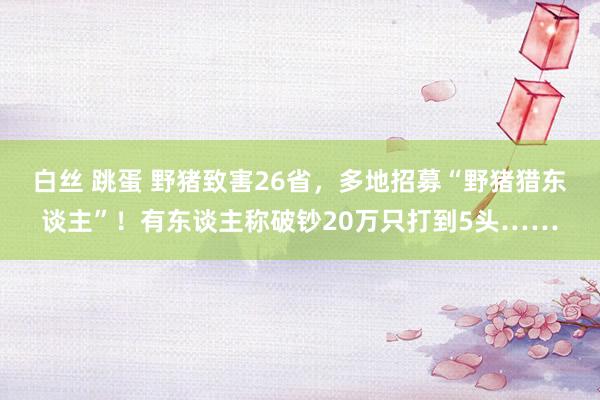 白丝 跳蛋 野猪致害26省，多地招募“野猪猎东谈主”！有东谈主称破钞20万只打到5头……