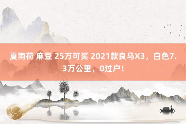 夏雨荷 麻豆 25万可买 2021款良马X3，白色7.3万公里，0过户！