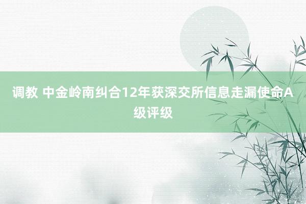 调教 中金岭南纠合12年获深交所信息走漏使命A级评级