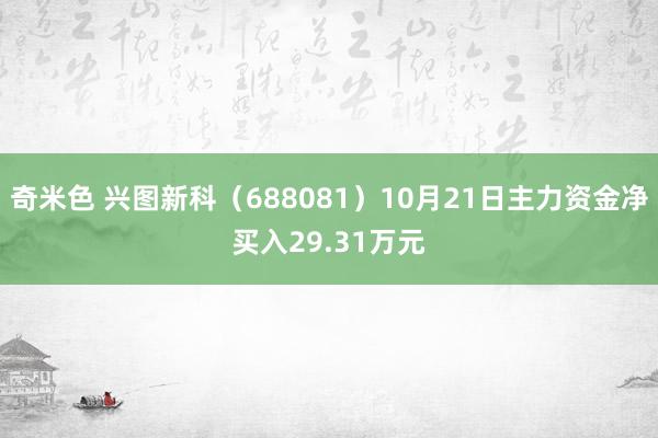 奇米色 兴图新科（688081）10月21日主力资金净买入29.31万元