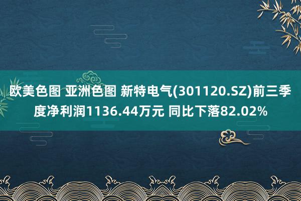 欧美色图 亚洲色图 新特电气(301120.SZ)前三季度净利润1136.44万元 同比下落82.02%