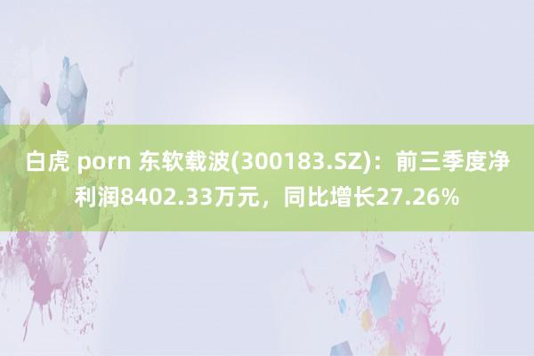 白虎 porn 东软载波(300183.SZ)：前三季度净利润8402.33万元，同比增长27.26%