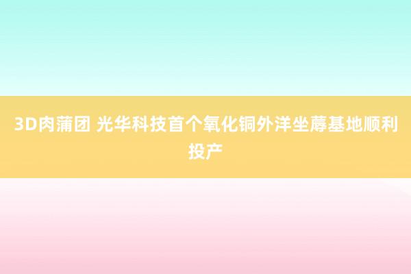 3D肉蒲团 光华科技首个氧化铜外洋坐蓐基地顺利投产