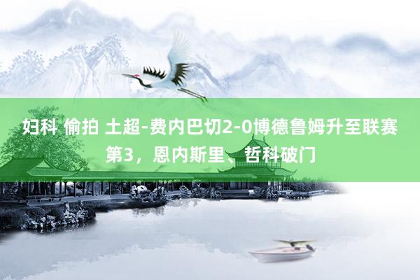 妇科 偷拍 土超-费内巴切2-0博德鲁姆升至联赛第3，恩内斯里、哲科破门