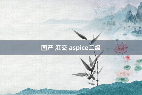 国产 肛交 aspice二级