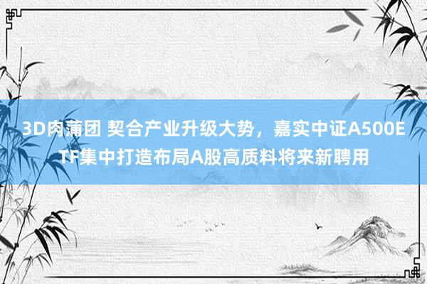 3D肉蒲团 契合产业升级大势，嘉实中证A500ETF集中打造布局A股高质料将来新聘用