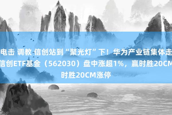 电击 调教 信创站到“聚光灯”下！华为产业链集体走强，信创ETF基金（562030）盘中涨超1%，赢时胜20CM涨停