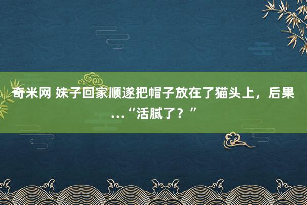 奇米网 妹子回家顺遂把帽子放在了猫头上，后果…“活腻了？”