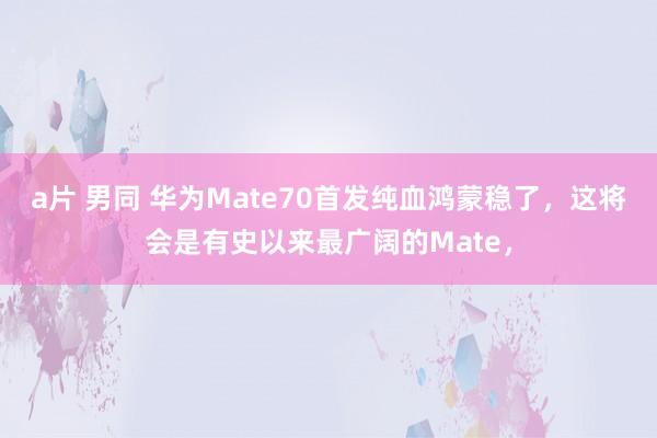 a片 男同 华为Mate70首发纯血鸿蒙稳了，这将会是有史以来最广阔的Mate，