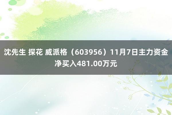 沈先生 探花 威派格（603956）11月7日主力资金净买入481.00万元