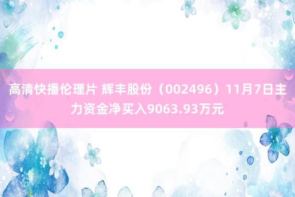 高清快播伦理片 辉丰股份（002496）11月7日主力资金净买入9063.93万元